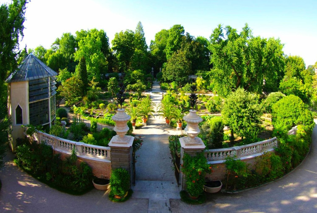 ботанический сад Падуи